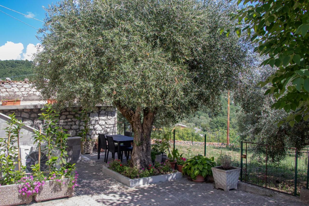 Casa Degli Ulivi Con Parcheggio Privato Apartment Muro Lucano Exterior photo